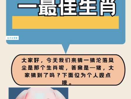 牧猪奴戏打一最佳生肖有哪些？最全解析在这里