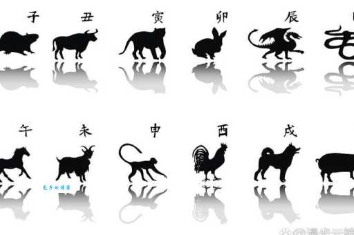 十二生肖最忠诚的属相是哪个？快来看看准不准！