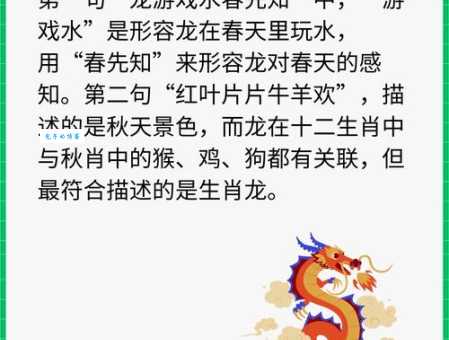 行动如飞快如闪电指什么生肖？答案揭晓！