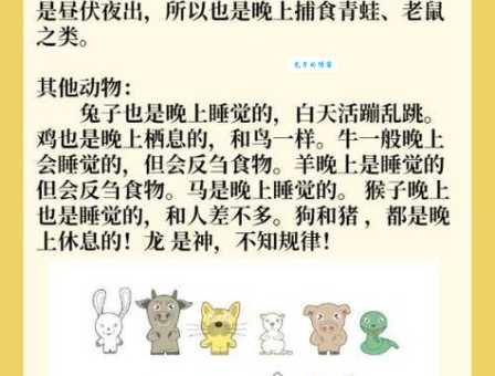 隔岸观火是什么生肖？教你快速猜出正确答案