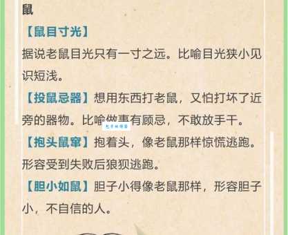 忠勇双全指什么生肖？答案可能让你意想不到！