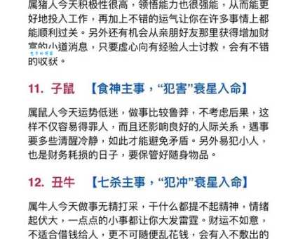 二八追求五迟疑是什么生肖