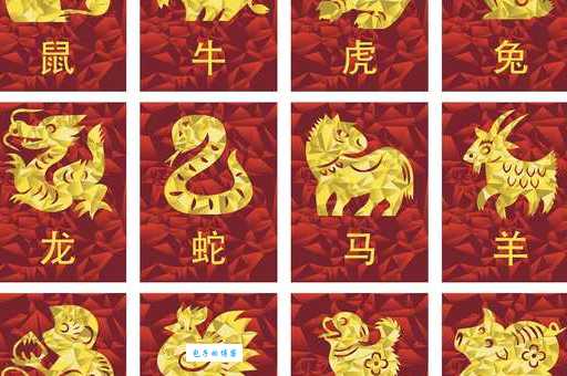 点石成金打一个生肖