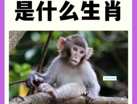 平添四海三江水打准确生肖是什么？答案原来这么简单！