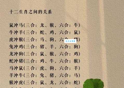 三五接五配一三是什么生肖正确答案和计算方法