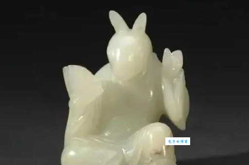 玉兔出宫有带宝打一最准生肖谜底是什么？看完秒懂！