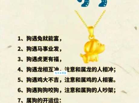 酒囊饭袋代表什么生肖？答案让人意想不到！