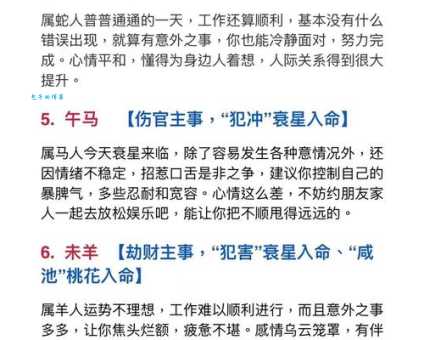 酒囊饭袋代表什么生肖？答案让人意想不到！