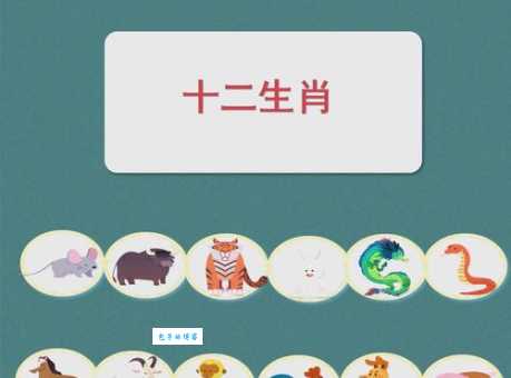 闪代表什么生肖答案来了，看看你猜对了吗