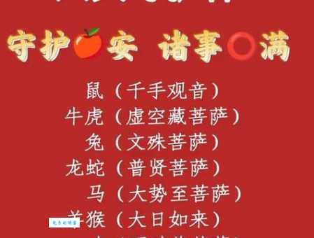 闪代表什么生肖答案来了，看看你猜对了吗