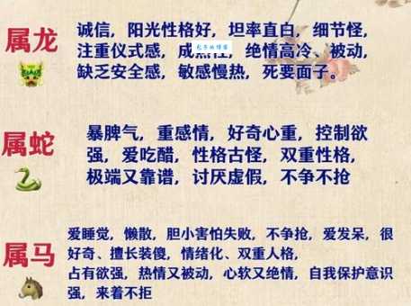 一八梅花二度开指什么生肖？资深玩家分享猜谜技巧