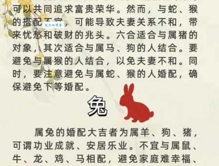 牛高马大是指什么生肖？答案和你想的不一样！