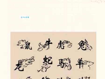 零字一字取红蓝是什么生肖？一分钟学会判断技巧！