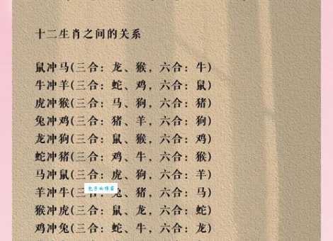 巴结高枝是什么生肖？原来这几种动物最会攀关系