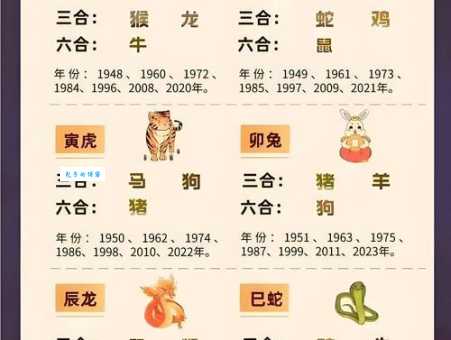 黄袍加身是什么生肖？揭秘最可能称王的生肖排名