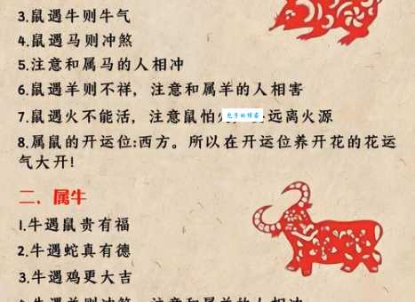 好汉做事好汉当是什么生肖？这几个生肖最有责任感！