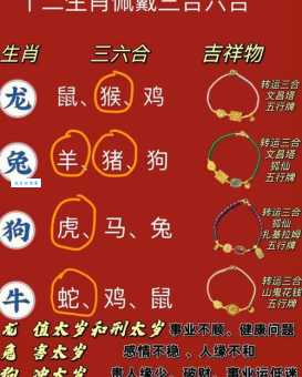 登峰造极打一正确生肖怎么猜三种方法快速解出