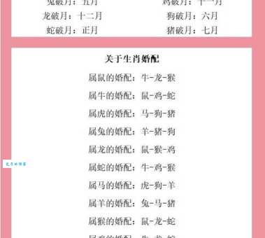 日月如梭打一个生肖是什么？答案原来是这样简单！