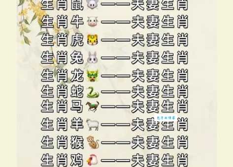 七夕九天对应哪些生肖?看完你就全明白了!