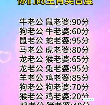 添油加醋打一最佳生肖是哪个？资深玩家分享准确答案