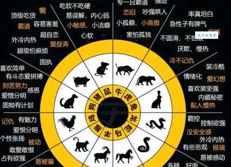 捕风捉影解一正确生肖怎么猜?掌握这3招轻松搞定!