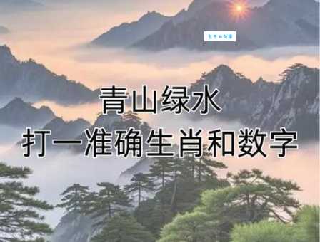 如何找到水落石出的最佳生肖答案？掌握这几点很重要