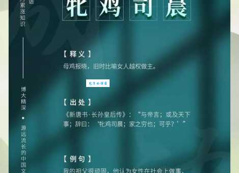 司晨报晓是什么生肖？了解生肖鸡的传说与象征