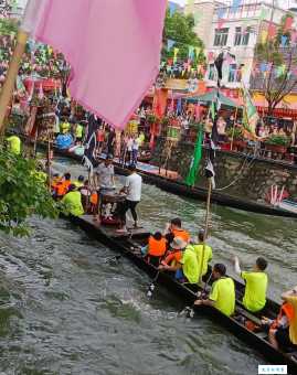 百舸竞渡代表什么生肖