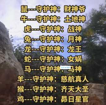 神出鬼没的动物是什么生肖?答案可能就藏在你身边哦