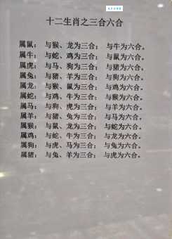 三洋开泰合五数是什么生肖？这几个生肖可能性最大！