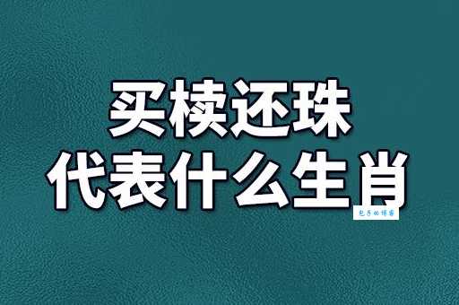 买椟还珠打一生肖怎么解?掌握这个方法轻松猜中