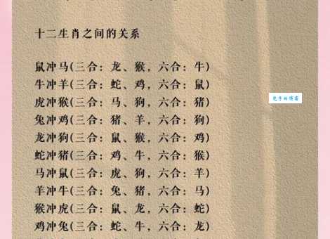 攀高枝儿是什么生肖？这几个生肖最会往上爬！