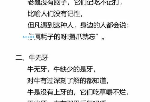 神出鬼没是什么生肖答案揭晓！原来指的是这两种动物