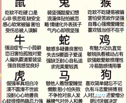 梦断魂消对应哪个生肖？看完这个解析你就明白了