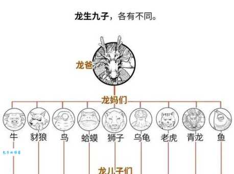 八分二四一起走是什么生肖？看看你的答案对不对！
