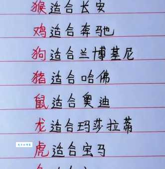 茅塞顿开代表什么生肖?揭秘最容易顿悟的属相