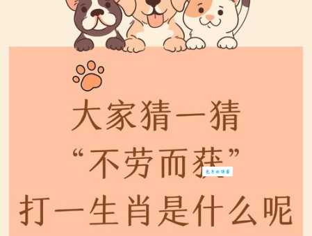 徘徊不前打一生肖怎么猜？教你几个简单方法快速解题