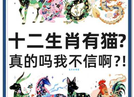 风雨同舟向前行指什么生肖?看看你的属相在里面吗?