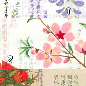 天不作美打一生肖怎么解？掌握这个方法轻松猜对！