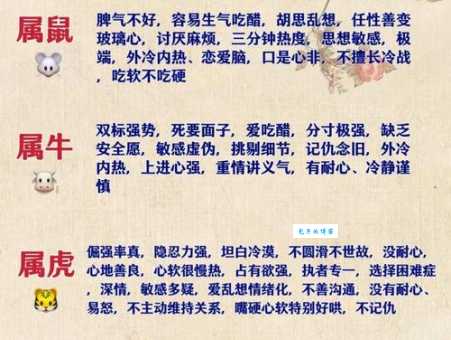 一日之计在于晨是什么生肖？揭秘这个生肖的优点