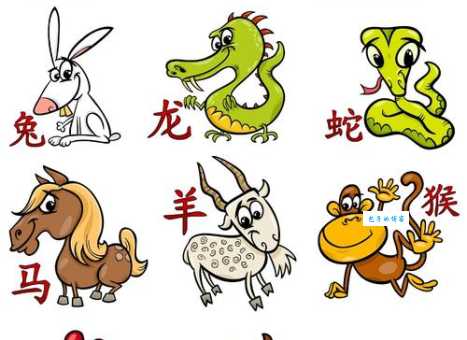 童心未泯是什么动物生肖？揭秘最有童心的生肖