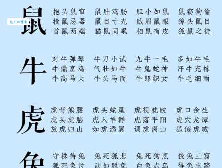 童心未泯是什么动物生肖？揭秘最有童心的生肖