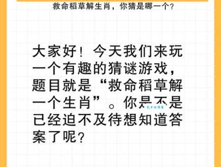 潦草塞责打一生肖答案是什么生肖看完你就明白