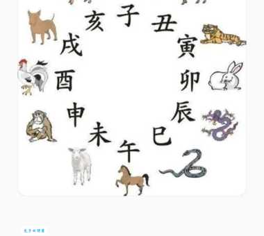 朝三暮四好生肖是什么生肖