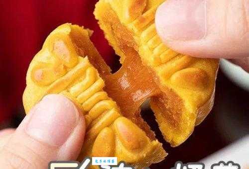 玉兔出宫打一最准生肖?揭秘背后隐藏的生肖真相!