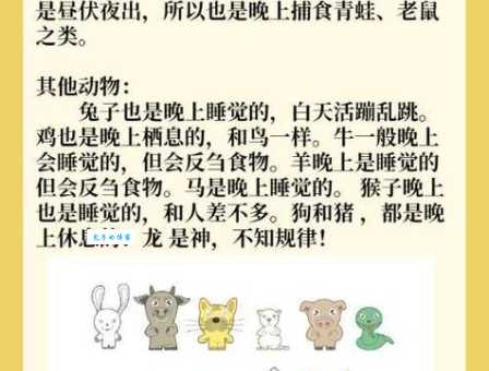 左家成亲打一个生肖答案揭晓原来是指这个动物