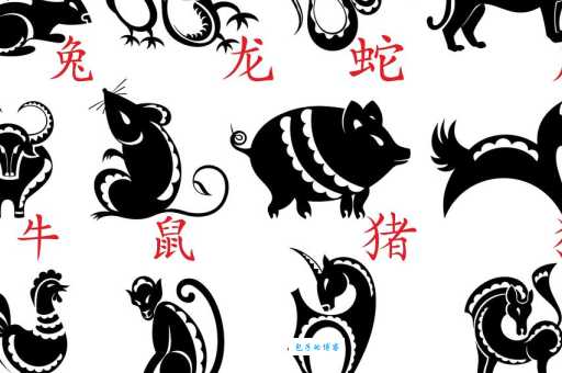 身经百战是指什么生肖？盘点那些经历丰富的动物