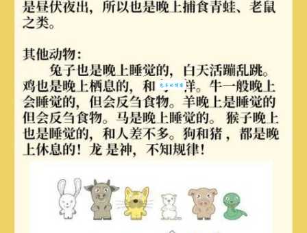 抱头鼠窜打一个生肖怎么解？三个技巧帮你轻松猜中