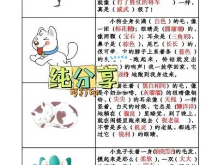 行动如飞打一生肖指什么动物？看完这个你就懂了！