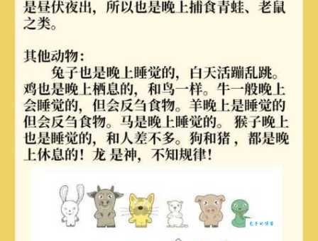 天各一方是什么生肖？其实答案比你想的要简单很多！